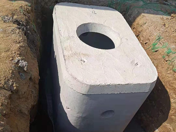 ͳ